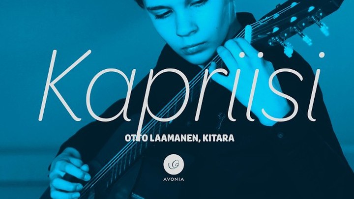 Otto, guitar — kitara — Schneider: Kapriisi