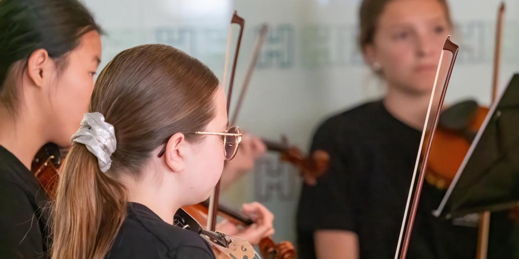 Violinist at a lesson